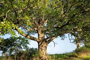 8991 McKenzie Ln, Hollandale, WI 53516 - Photo 67