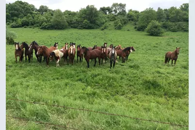 8991 McKenzie Lane, Hollandale, WI 53516 - Photo 59