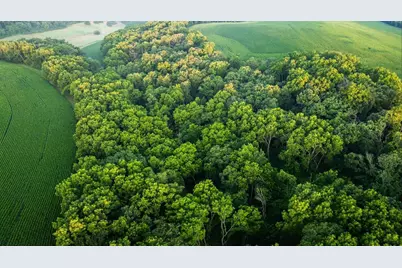 8991 McKenzie Lane, Hollandale, WI 53516 - Photo 15