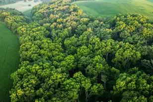 8991 McKenzie Ln, Hollandale, WI 53516 - Photo 15