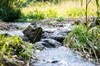 8991 McKenzie Lane, Hollandale, WI 53516 - Photo 53