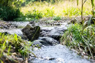 8991 McKenzie Ln, Hollandale, WI 53516 - Photo 53