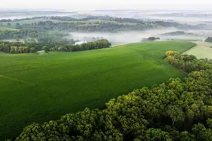 8991 McKenzie Ln, Hollandale, WI 53516 - Photo 9