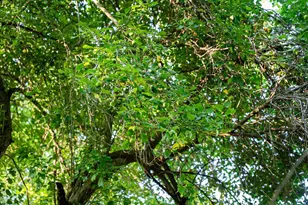 8991 McKenzie Ln, Hollandale, WI 53516 - Photo 69