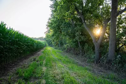 8991 McKenzie Lane, Hollandale, WI 53516 - Photo 57