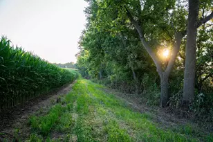 8991 McKenzie Ln, Hollandale, WI 53516 - Photo 57