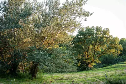 8991 McKenzie Lane, Hollandale, WI 53516 - Photo 55