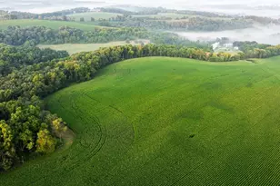 8991 McKenzie Ln, Hollandale, WI 53516 - Photo 77