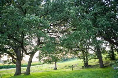 8991 McKenzie Lane, Hollandale, WI 53516 - Photo 49