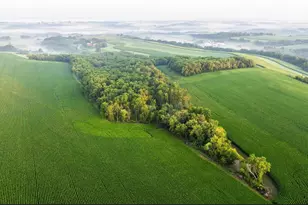 8991 McKenzie Ln, Hollandale, WI 53516 - Photo 13