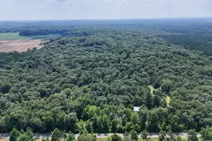 817 Elk Dr, Adams, WI 53910 - Photo 47