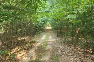 817 Elk Dr, Adams, WI 53910 - Photo 33