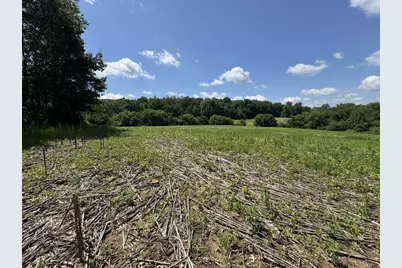 W8785 Highway 82, Elroy, WI 53929 - Photo 15