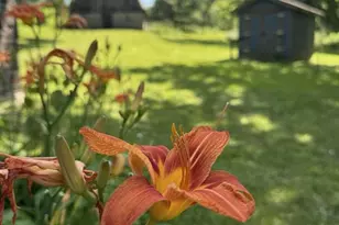 W8785 Hwy 82, Elroy, WI 53929 - Photo 3