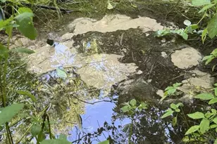 W8785 Hwy 82, Elroy, WI 53929 - Photo 9