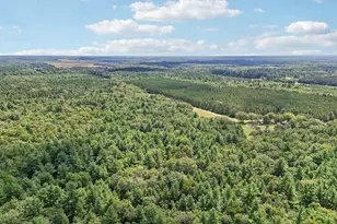 1328 Fish Dr, Wisconsin Dells, WI 53965 - Photo 59