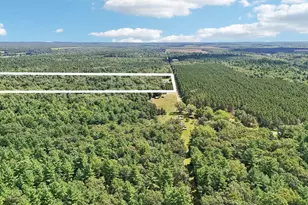 1328 Fish Dr, Wisconsin Dells, WI 53965 - Photo 69