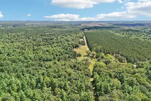 1328 Fish Dr, Wisconsin Dells, WI 53965 - Photo 57