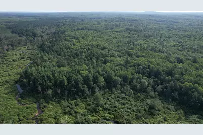 40 Acres Copper Mine Road, Gordon, WI 54838 - Photo 9