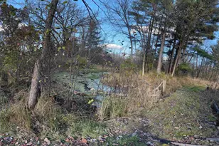 N6270 County Rd B, Westfield, WI 53964 - Photo 43