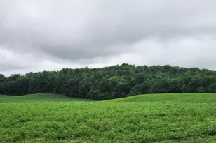 N283 Co Ow Rd, Mondovi, WI 54755 - Photo 25