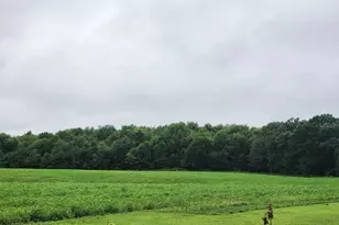 N283 Co Ow Rd, Mondovi, WI 54755 - Photo 23