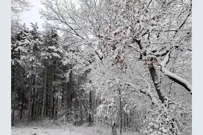 W8601 Highway 82, Elroy, WI 53929 - Photo 55