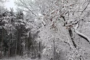 W8601 Hwy 82, Elroy, WI 53929 - Photo 55