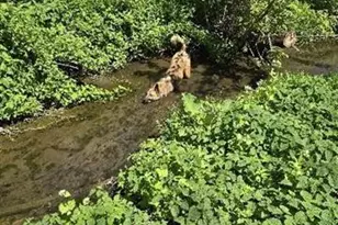 5320 Sunny Ridge Rd, Mineral Point, WI 53565 - Photo 41