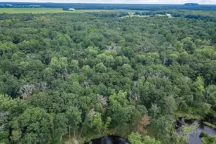 1892 A W 16th Ave, Friendship, WI 53934 - Photo 13