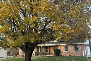 71 Ford Dr, East Dubuque, IL 61025 - Photo 79