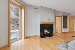 333 W Mifflin St, Madison, WI 53703 - Photo 3