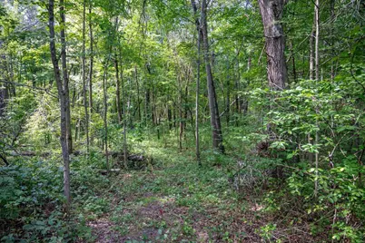 W5878 Wilson Lane, Necedah, WI 54646 - Photo 37