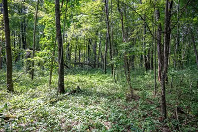 W5878 Wilson Lane, Necedah, WI 54646 - Photo 35