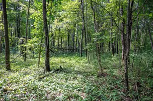 W5878 Wilson Ln, Necedah, WI 54646 - Photo 35