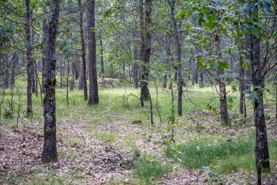 N7583 State Road 58, New Lisbon, WI 53950 - Photo 13