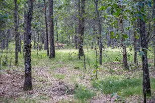 N7583 State Road 58, New Lisbon, WI 53950 - Photo 13