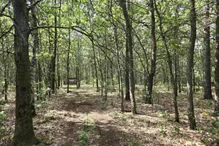 N7583 State Road 58, New Lisbon, WI 53950 - Photo 59