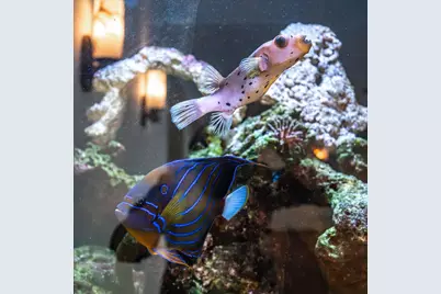 5511 Mendota Drive, Middleton, WI 53562 - Photo 21