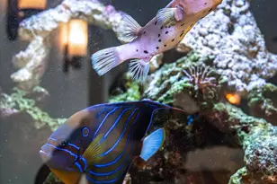 5511 Mendota Dr, Middleton, WI 53562 - Photo 21