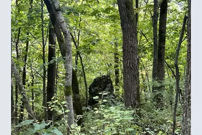 E5706 Park Road, Westby, WI 54667 - Photo 27