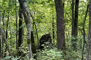 E5706 Park Rd, Westby, WI 54667 - Photo 27