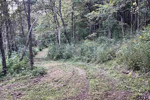 E5706 Park Rd, Westby, WI 54667 - Photo 55