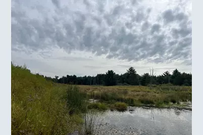 33 Acres 10th Avenue, Adams, WI 53910 - Photo 15