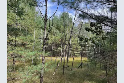 33 Acres 10th Avenue, Adams, WI 53910 - Photo 37