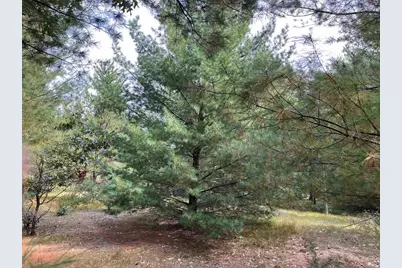 33 Acres 10th Avenue, Adams, WI 53910 - Photo 25