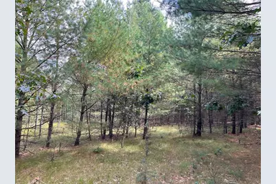 33 Acres 10th Avenue, Adams, WI 53910 - Photo 35