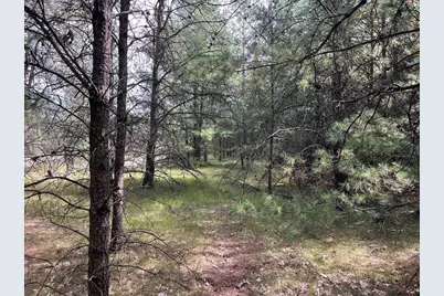 33 Acres 10th Avenue, Adams, WI 53910 - Photo 27