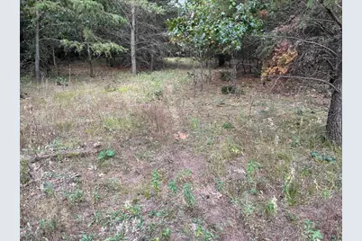 33 Acres 10th Avenue, Adams, WI 53910 - Photo 43