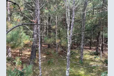 33 Acres 10th Avenue, Adams, WI 53910 - Photo 21